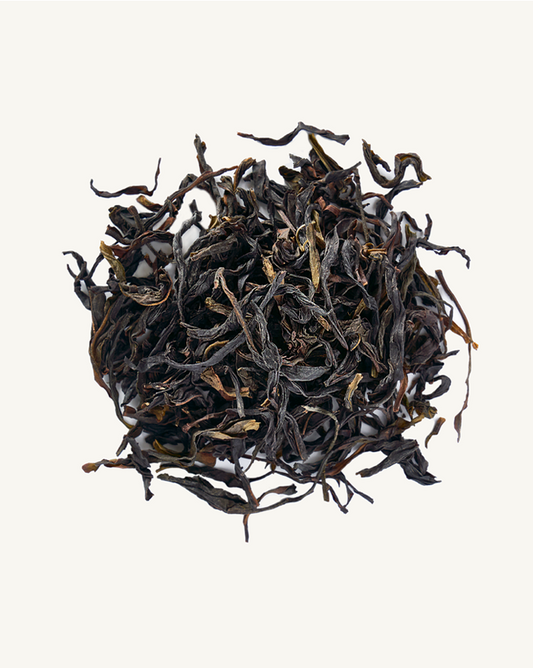 Phoenix Dancong - 2023 Oolong Tea